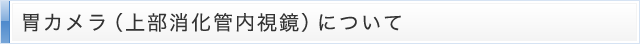 胃カメラ（上部消化管内視鏡）について